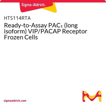 Ready-to-Assay PAC1 (long isoform) VIP/PACAP Receptor Frozen Cells