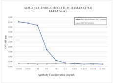 Anti-NCoA-2 Antibody, clone 3Ti-3C11