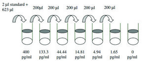 Human MDC / CCL22 ELISA Kit for serum, plasma, cell culture supernatant and urine