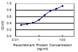 Monoclonal Anti-ANKS4B antibody produced in mouse clone 3E3, purified immunoglobulin, buffered aqueous solution