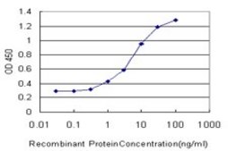Monoclonal Anti-MAGEA4 antibody produced in mouse clone 3D12, purified immunoglobulin, buffered aqueous solution