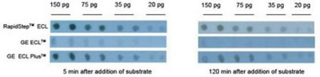 RapidStep ECL Reagent This RapidStep ECL Reagent is validated for use in Immunoblotting for the detection of RapidStep ECL Reagent.