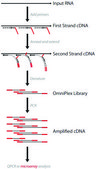 TransPlex® Complete Whole Transcriptom Amplification Kit DNA polymerase included, Complete Kit with optimized enzyme to amplify total RNA in <4 hours, no 3′ bias