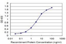 Monoclonal Anti-KLRB1 antibody produced in mouse clone 2F3, purified immunoglobulin, buffered aqueous solution