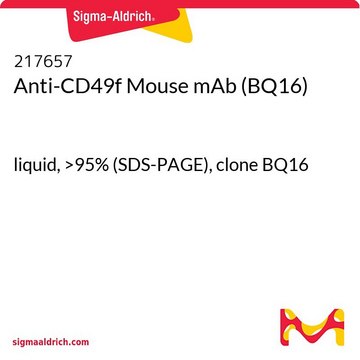 Anti-CD49f Mouse mAb (BQ16) liquid, &gt;95% (SDS-PAGE), clone BQ16