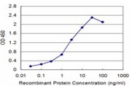 Monoclonal Anti-SLC6A20 antibody produced in mouse clone 3G6, purified immunoglobulin, buffered aqueous solution