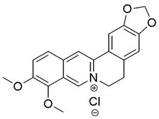 Berberine Chloride A highly potent and selective oxysterol EBI2 (GPR183) agonist (Kd) = 450 pM in a saturation binding assay, and EC50 = 140 pM over EC50 = 2.1 nM for its enantiomer, 7β,25-OHC, in a GTP-γS binding assay).