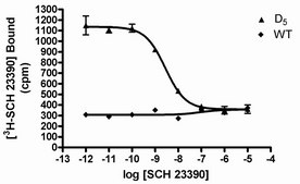 ChemiScreen D5 ドーパミン受容体膜製剤 Human D5 GPCR membrane preparation for Radioligand binding Assays &amp; GTPγS binding.