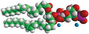18:1 PI(3)P Avanti Research™ - A Croda Brand