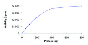 STK32B active, GST tagged human PRECISIO® Kinase, recombinant, expressed in baculovirus infected Sf9 cells, ≥70% (SDS-PAGE), buffered aqueous glycerol solution