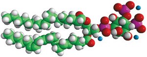 Brain PI(4,5)P2 Avanti Research™ - A Croda Brand
