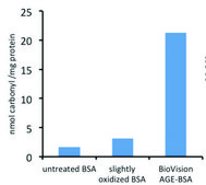 Protein Carbonyl Content Assay Kit sufficient for 100 colorimetric&nbsp;tests