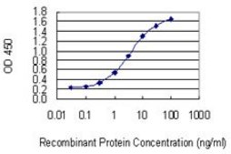 Monoclonal Anti-KIF1C, (C-terminal) antibody produced in mouse clone 1F12, purified immunoglobulin, buffered aqueous solution
