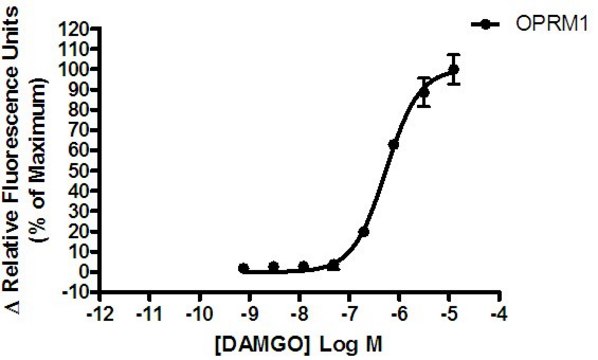 Ready-to-Assay Mu Opioid Receptor Frozen Cells Human Mu / OP3 / MOP / MOR GPCR frozen cells for Calcium Flux FLIPR Assays.