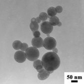 リン酸三カルシウム 水和物 nanopowder, <200 nm particle size (BET)