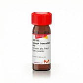 Collagen from rabbit skin Bornstein and Traub Type I, powder