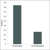 Anti-phospho-Cortactin (pTyr421) antibody produced in rabbit affinity isolated antibody