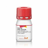金ナノロッド 10 nm diameter, λmax, 1064 nm, dispersion in H2O, citrate capped
