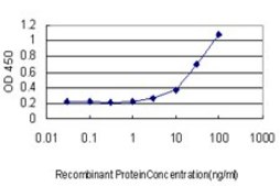 Monoclonal Anti-TLR7 antibody produced in mouse clone 2C9, purified immunoglobulin, buffered aqueous solution