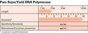 Pwo SuperYield DNAポリメラーゼ suitable for PCR, Difficult Templates/Specialty Enzymes PCR, hotstart: no, dNTPs included: no