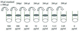 Human MIP-3 β / CCL19 ELISA Kit for serum, plasma, cell culture supernatant and urine