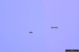 Monolayer hexagonal Boron Nitride (hBN) on copper foil