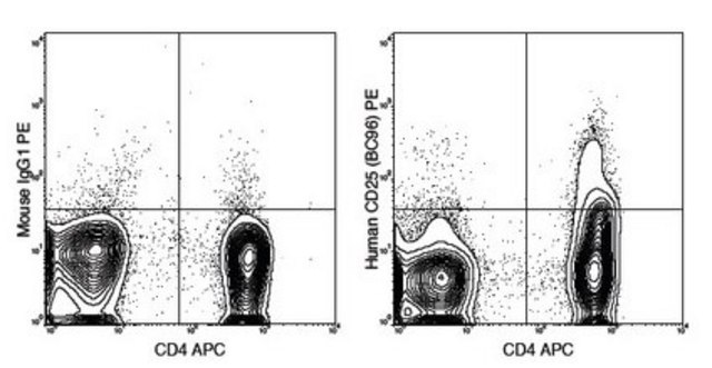 Anti-CD25 Antibody (human),clone BC96 clone BC96, 0.5&#160;mg/mL, from mouse