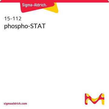 phospho-STAT