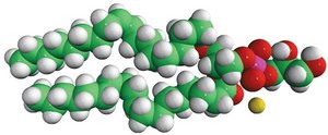 18:1 (Δ9-Trans) PG 1,2-dielaidoyl-sn-glycero-3-phospho-(1′-rac-glycerol) (sodium salt), powder