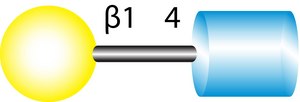 N-Acetyl-D-lactosamine ≥98% (TLC)