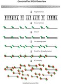 GenomePlex® Whole Genome Amplification (WGA) Kit Kit for whole genome amplification from a variety of DNA sources including FFPE tissue