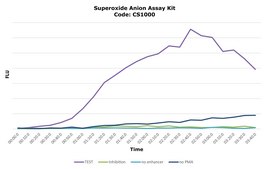 Superoxide Anion Assay Kit sufficient for 100 assays (96 well plates)
