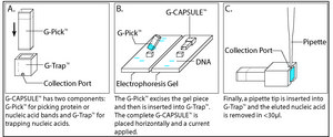 G-CAPSULE™ electroelution device