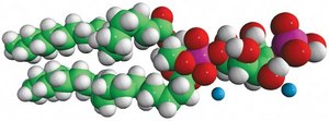 18:1 PI(4)P Avanti Research™ - A Croda Brand 850151P, powder