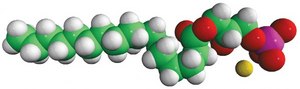 17:0 Lyso PA 1-heptadecanoyl-2-hydroxy-sn-glycero-3-phosphate (sodium salt), powder