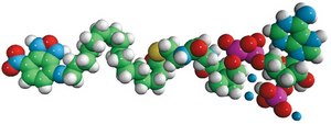 16-NBD-16:0 Coenzyme A Avanti Research™ - A Croda Brand 810705P, powder