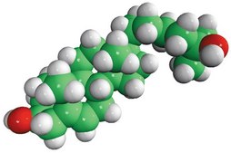 25-hydroxycholesterol Avanti Research™ - A Croda Brand