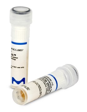 Bacillus spizizenii WDCM 00003 Vitroids 80-130 CFU
