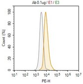 Anti-BubR1 Antibody, clone 1D23 ZooMAb® Rabbit Monoclonal recombinant, expressed in HEK 293 cells