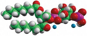 08:0 PI(3)P 1,2-dioctanoyl-sn-glycero-3-(phosphoinositol-3-phosphate) (ammonium salt), powder
