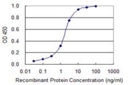 Monoclonal Anti-LMTK3 antibody produced in mouse clone 2H6, purified immunoglobulin, buffered aqueous solution
