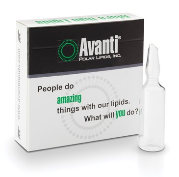 SPLASH Booster Avanti Research&#8482; - A Croda Brand