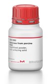 Esterase from porcine liver lyophilized powder, ≥15 units/mg solid