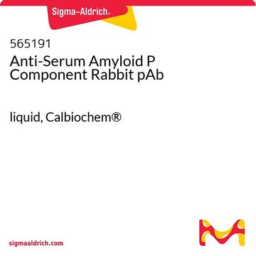 Anti-Serum Amyloid P Component Rabbit pAb liquid, Calbiochem&#174;