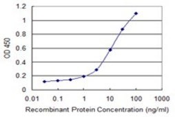 Monoclonal Anti-COLEC12 antibody produced in mouse clone 4A7, purified immunoglobulin, buffered aqueous solution