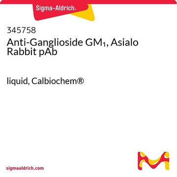 Anti-Ganglioside GM1, Asialo Rabbit pAb liquid, Calbiochem&#174;