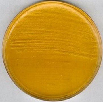 Brain Heart Infusion Agar NutriSelect&#174; Plus, powder, for bacteria, pack of 500&#160;g