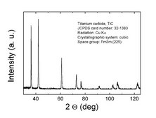 Titanium carbide nanopowder, ≤200 nm particle size (SEM)