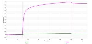 Anti-RanBP2 Antibody, clone 1B8 ZooMAb® Rabbit Monoclonal recombinant, expressed in HEK 293 cells