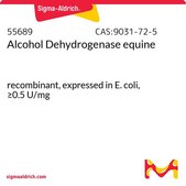 Alcohol Dehydrogenase equine recombinant, expressed in E. coli, ≥0.5 U/mg